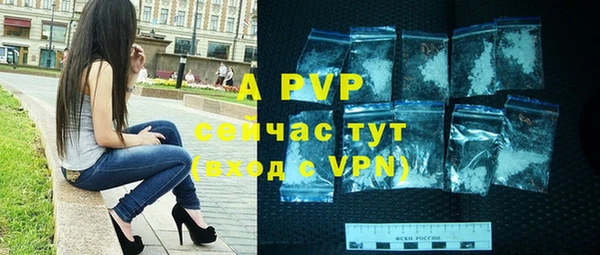 шишки Михайловск