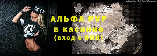 ECSTASY Михайлов