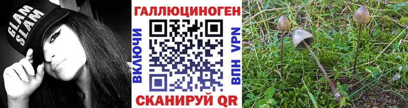 omg зеркало Новопавловск Галлюциногенные грибы MAGIC MUSHROOMS