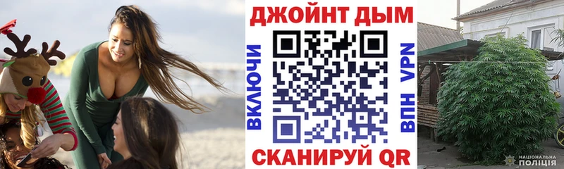 Конопля Bruce Banner  Новопавловск 